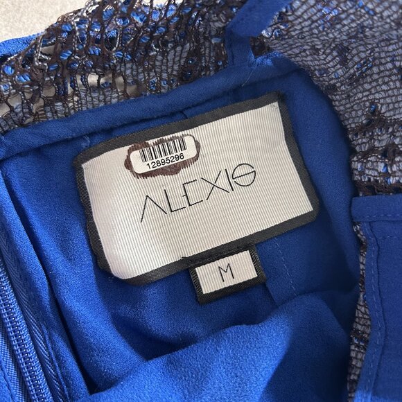 Alexis Delila Lace Dress ASO Sofia Vergara - Picture 8 of 11